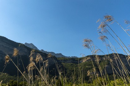 ENS de l'Isère, Marais de Montfort
