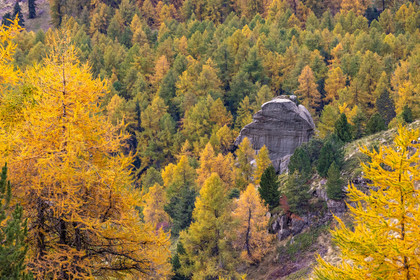 L'automne dans la Vallée du Champsaur