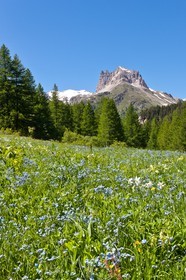Vallée Etroite, (Valle Stretta en italien)