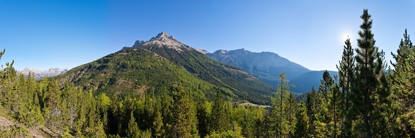 Forêt domaniale des Sauvas
