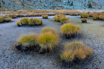 Vallon du Laverq, lac et tourbière Les Eaux-Tortes