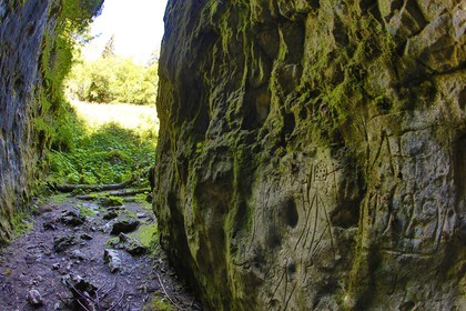 ENS de l'Isère, Plateau de la Molière et du Sornin, Le Puits aux Ecritures, gravures rupestres