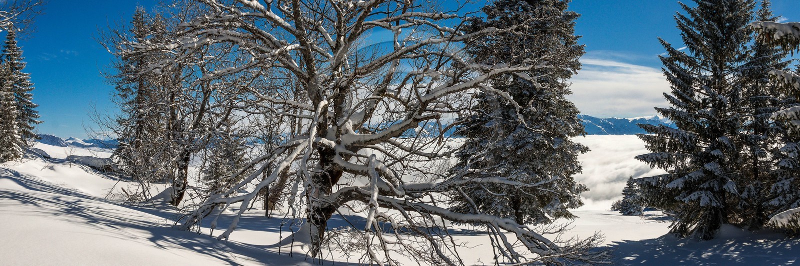 ENS de l'Isère, Plateau de la Molière et du Sornin