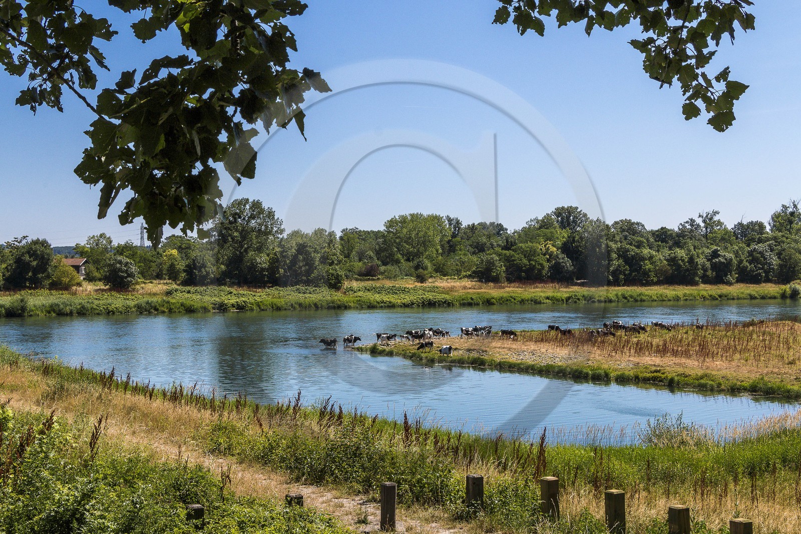 ENS de l'Isère, , le méandre des Oves