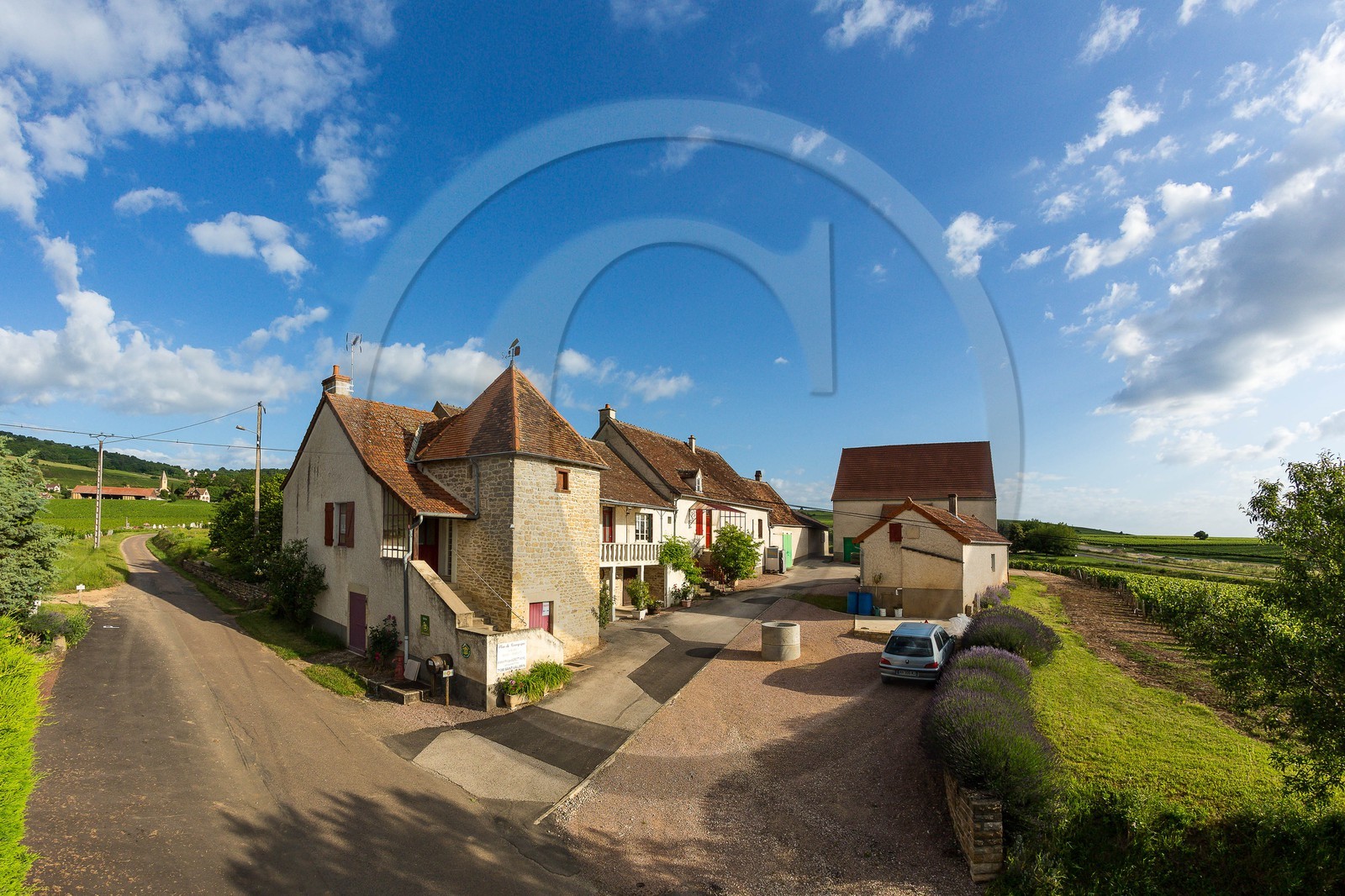 Domaine viticole Michel-Andreotti