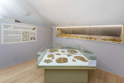 Gap, Musée Muséum départemental des Hautes-Alpes