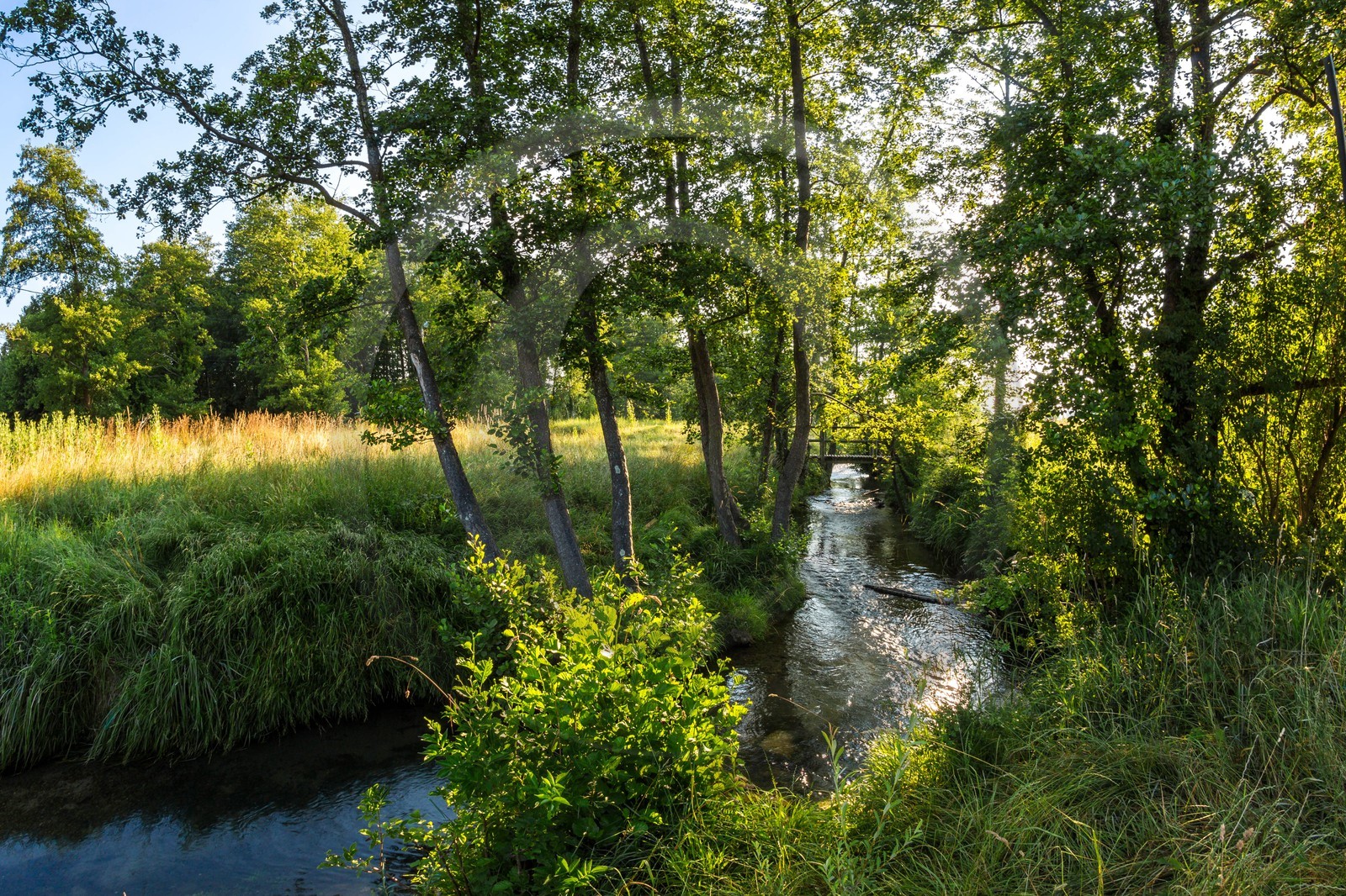 ENS de l'Isère, Prairies inondables de Pont-Évêque