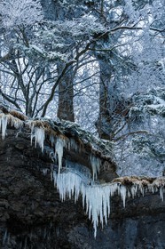 ENS de l'Isère, Les Ecouges