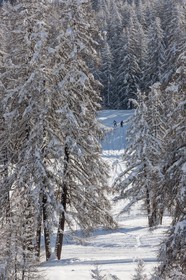 La station de ski Sauze Super-Sauze est une station village située entre 1400 et 2400 m