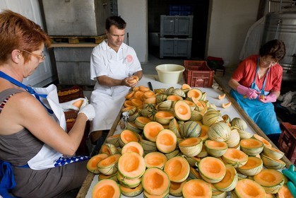 Confiserie Saint Denis, préparation des melons
