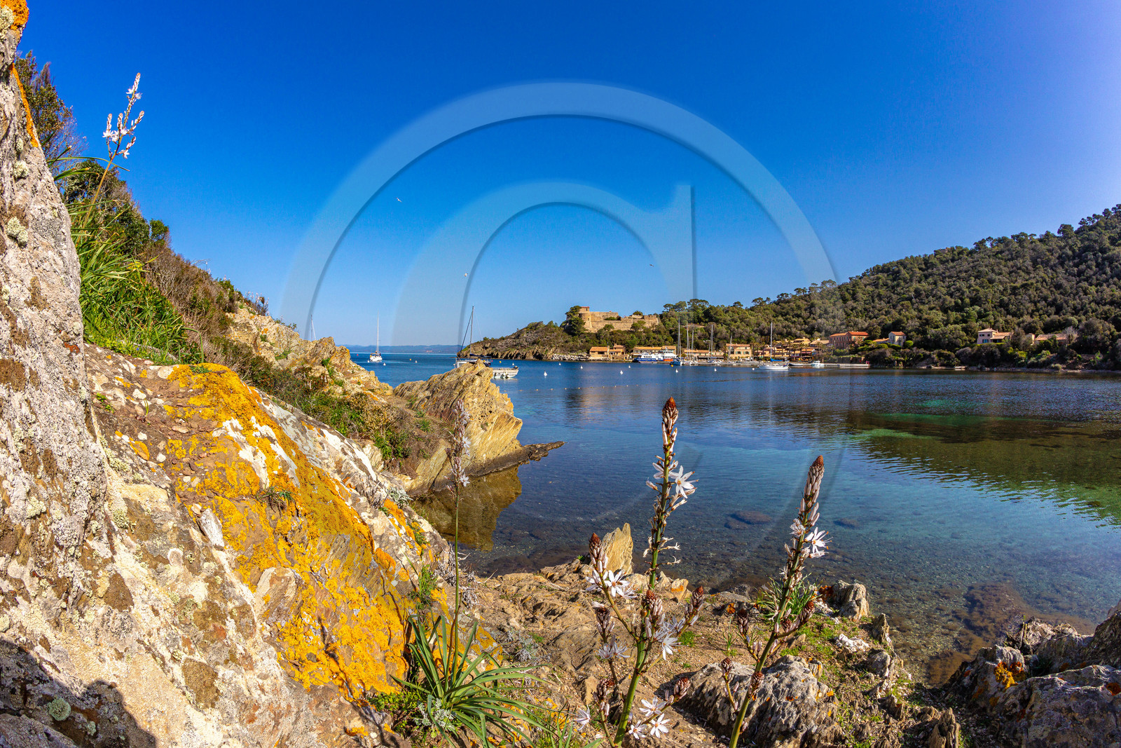 Parc national de Port-Cros