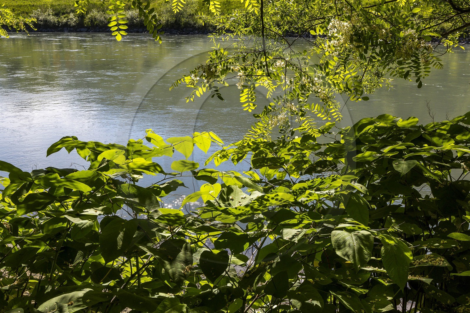 ENS de l'Isère, Boucle de la Taillat