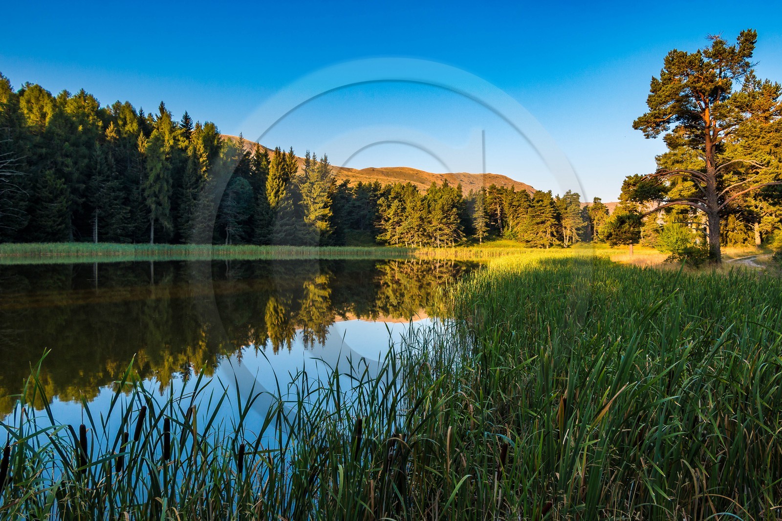 Esparron-La-Bâtie, lac d'Esparron