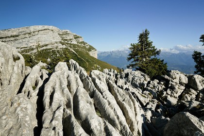 Espace naturel sensible de l'Isère, Pravouta, Lapiaz et la Dent de Crolles