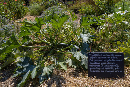 Parc écologique Terre Vivante