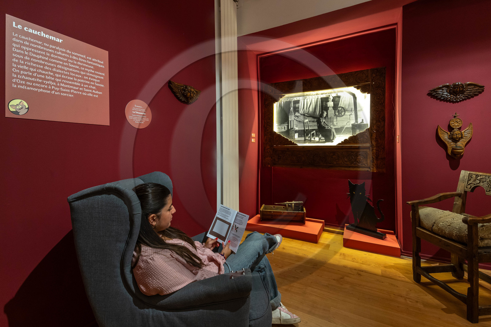 Musée Muséum départemental des Hautes-Alpes, Exposition Nuit