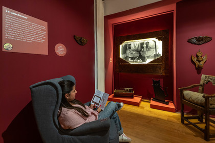 Musée Muséum départemental des Hautes-Alpes, Exposition Nuit