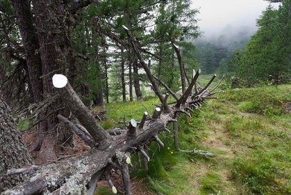 Sentiers Art et Nature Queyras et Val Varaita, Peter Gross