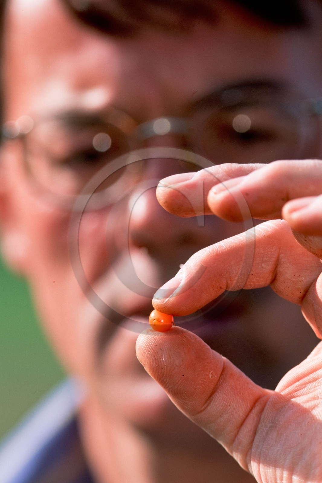 Jean-François Gonfard