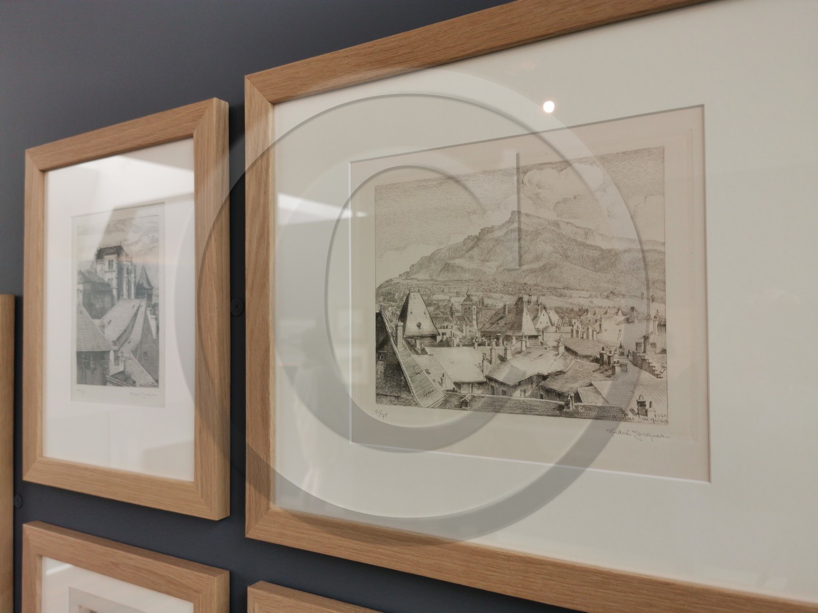 Musée des Beaux Arts de Chambéry