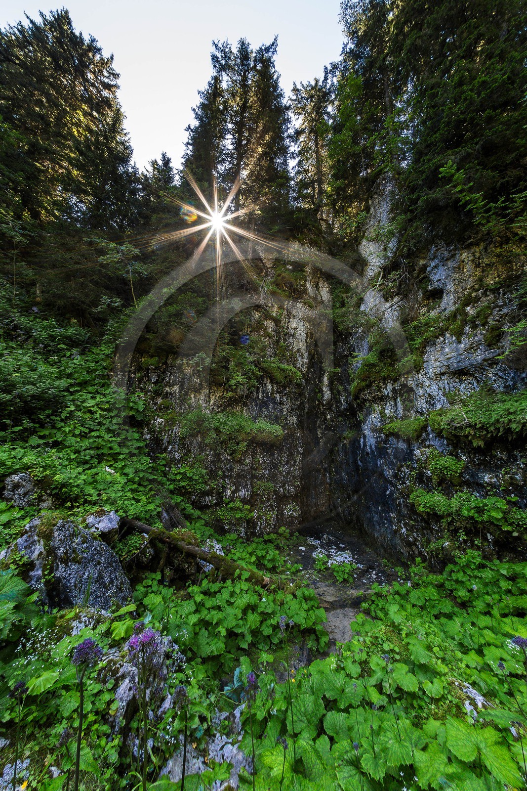ENS de l'Isère, Plateau de la Molière et du Sornin, Le Puits aux Ecritures, gravures rupestres