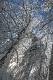 ENS de l'Isère, Les Ecouges