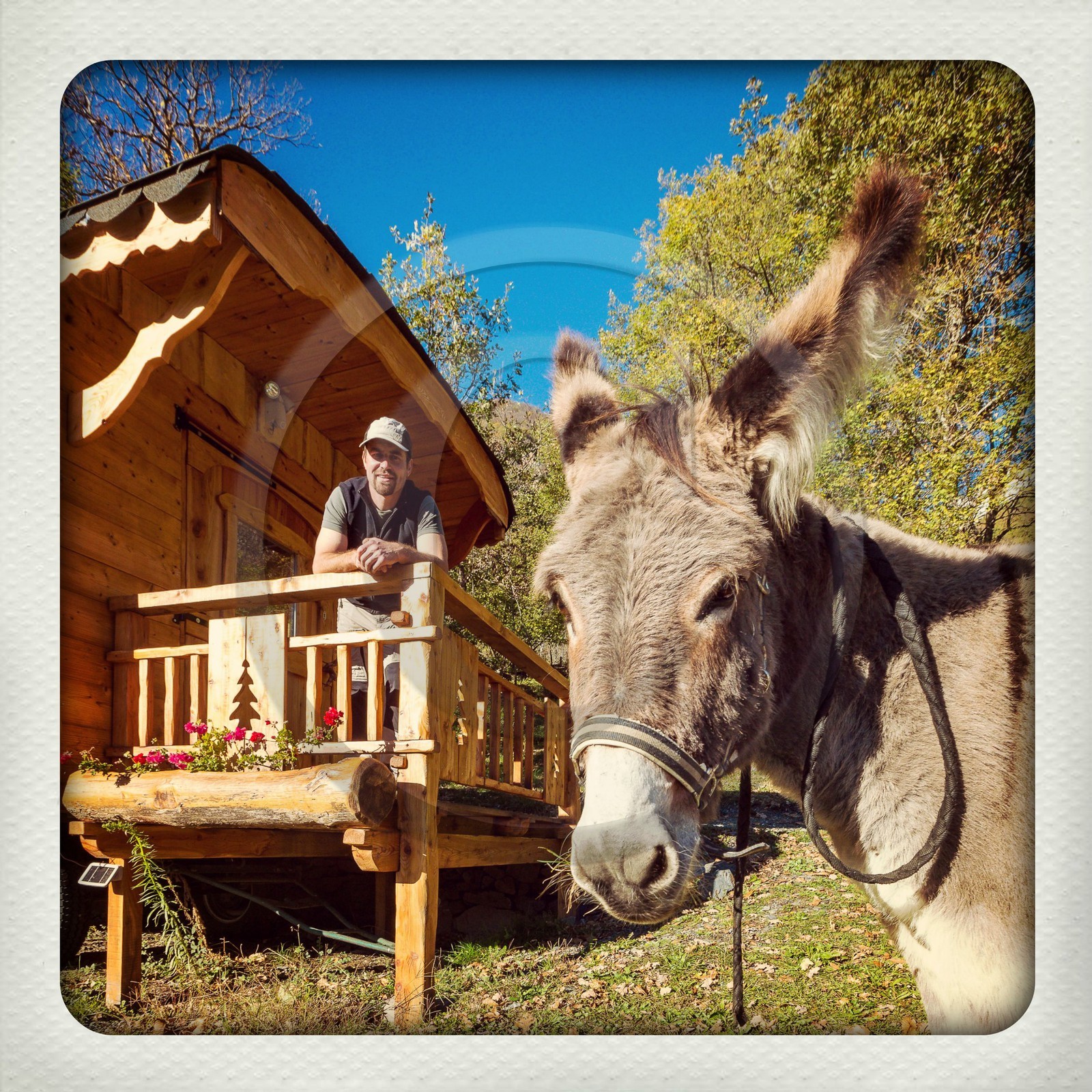 Valbonnais, quartier Les Nicolleaux, Lou pa de l'Aze, gîte et randonnée avec un âne, Yohann Masnada