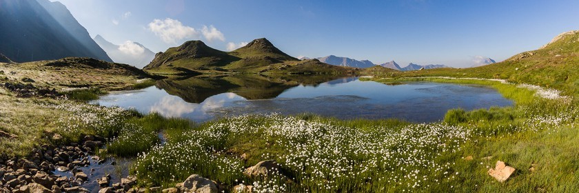 Orcières 1850, linaigrettes au lac Jumeaux