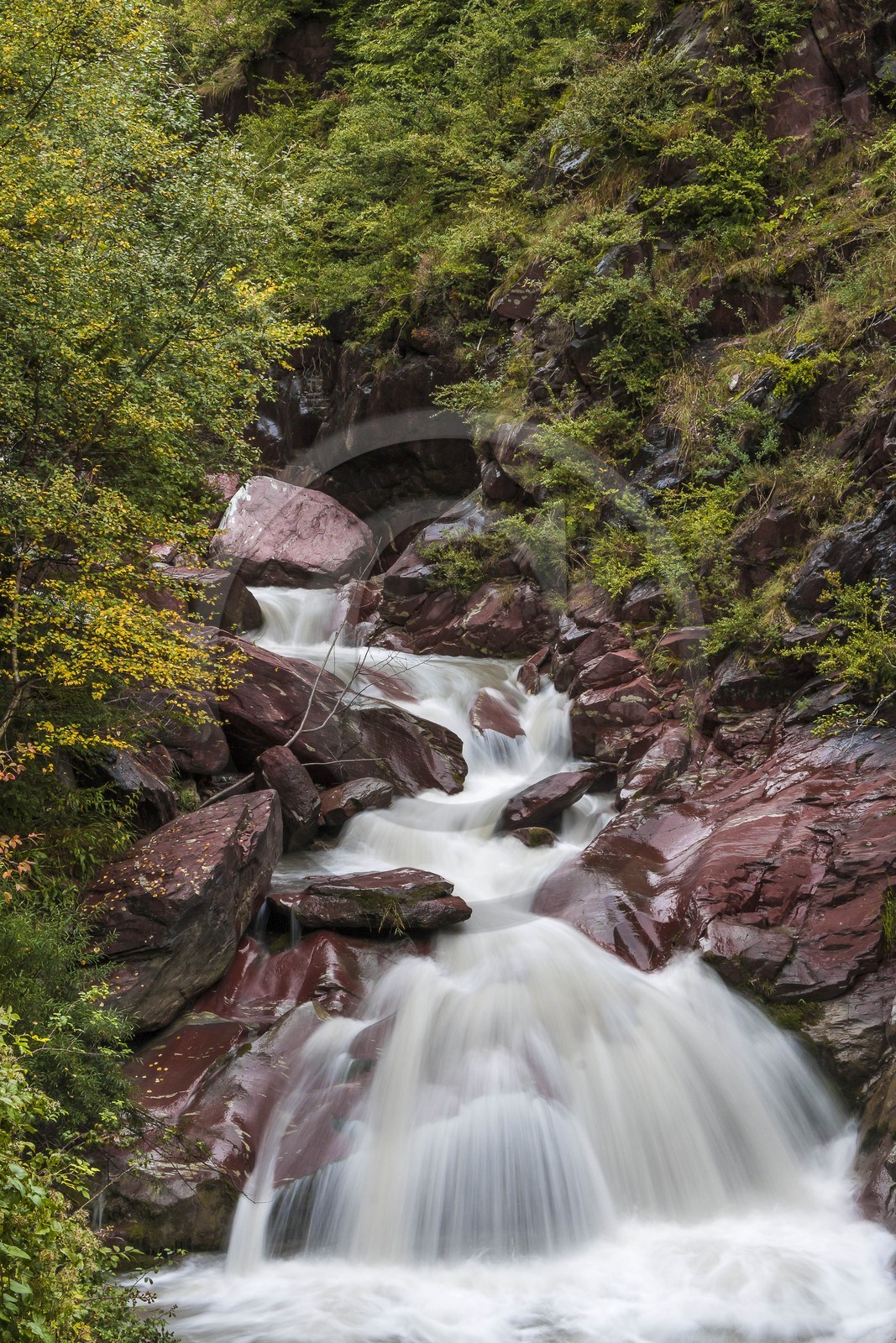 Vallée de la Tinée, Roubion, gorges de la Vionène
