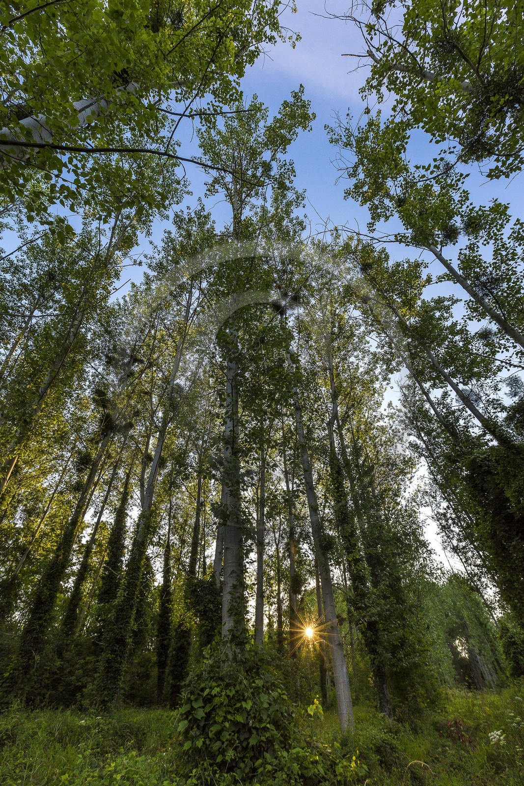 ENS de l'Isère, , le méandre des Oves