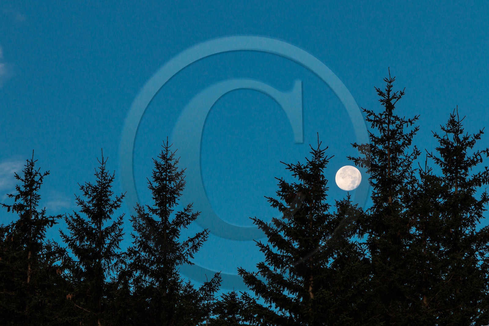 vallon de La Jarjatte