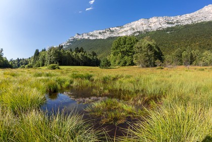 ENS de l'Isère,Tourbières du Peuil