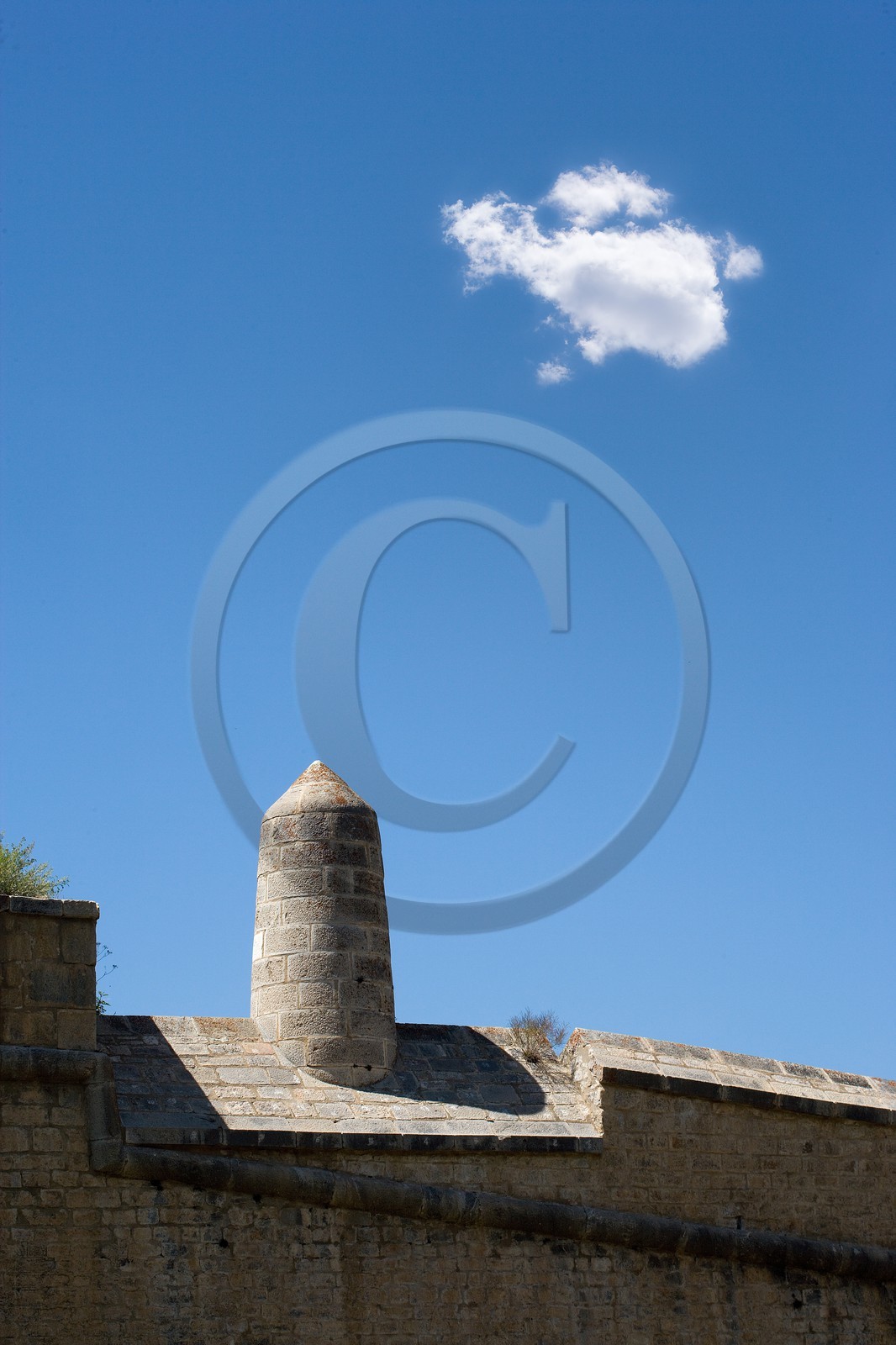 Briançon, demoiselle du rempart du Fort des Têtes