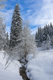ENS de l'Isère, Les Ecouges