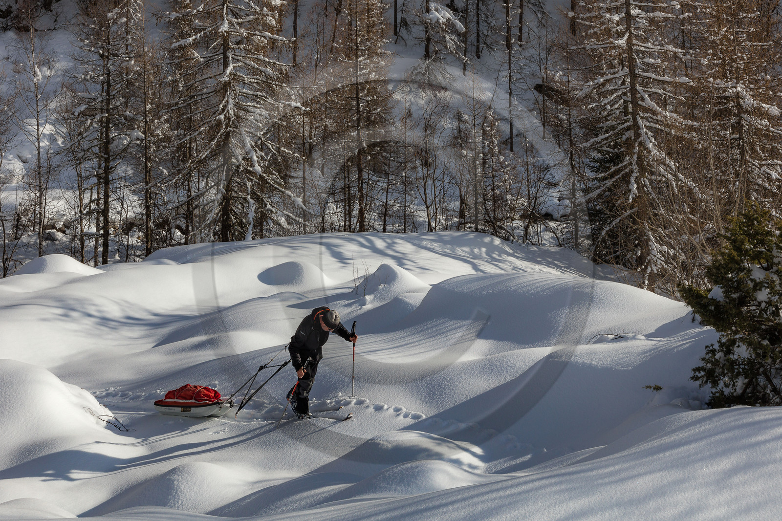 Film : La vallée des loups