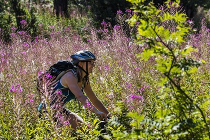 VTT Grand tour des Ecrins