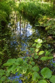 ENS de l'Isère, Vieille morte de Bourg d'Oisans