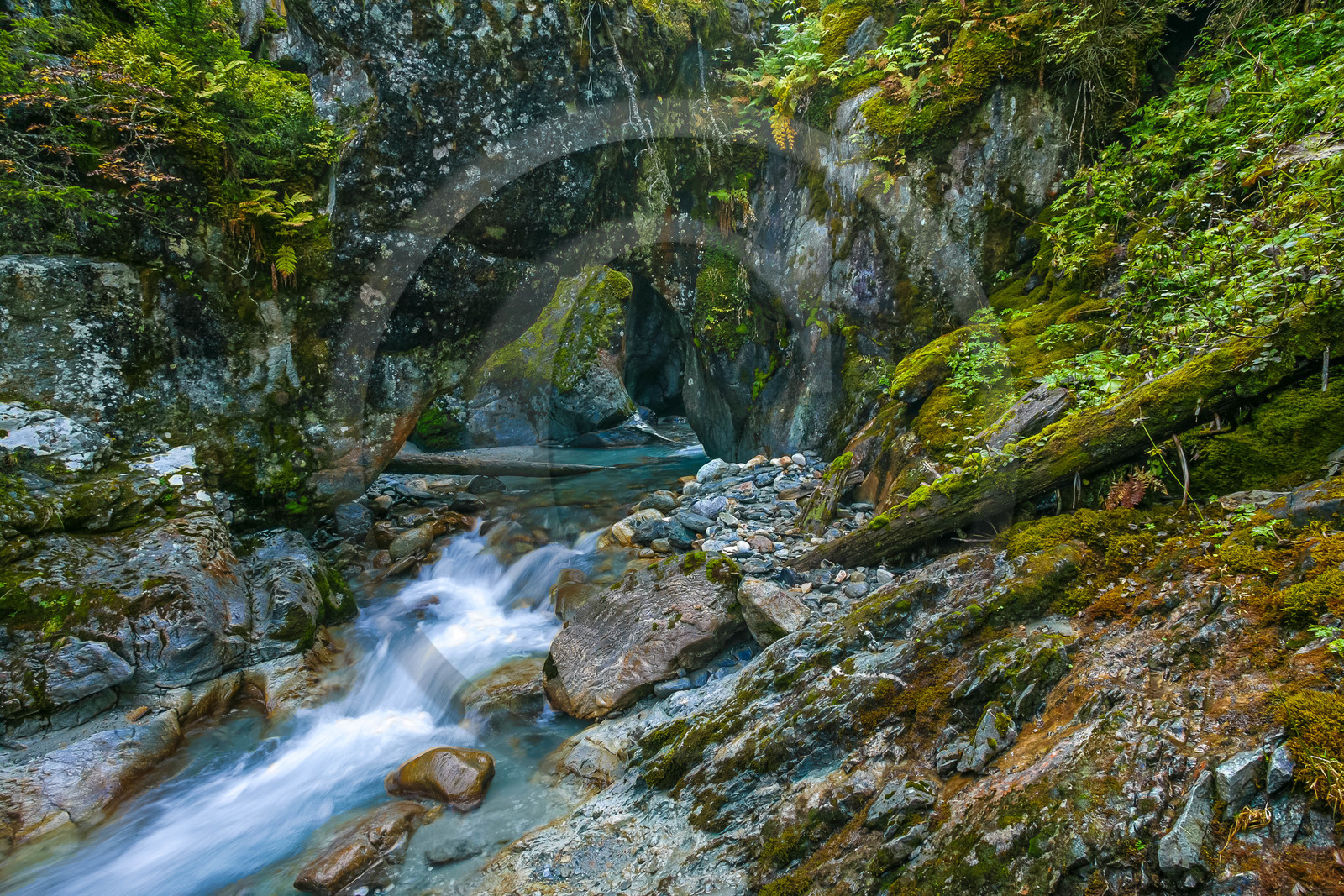 Réserve naturelle des Contamines-Montjoie, Pont naturel, torrent du Bon Nant
