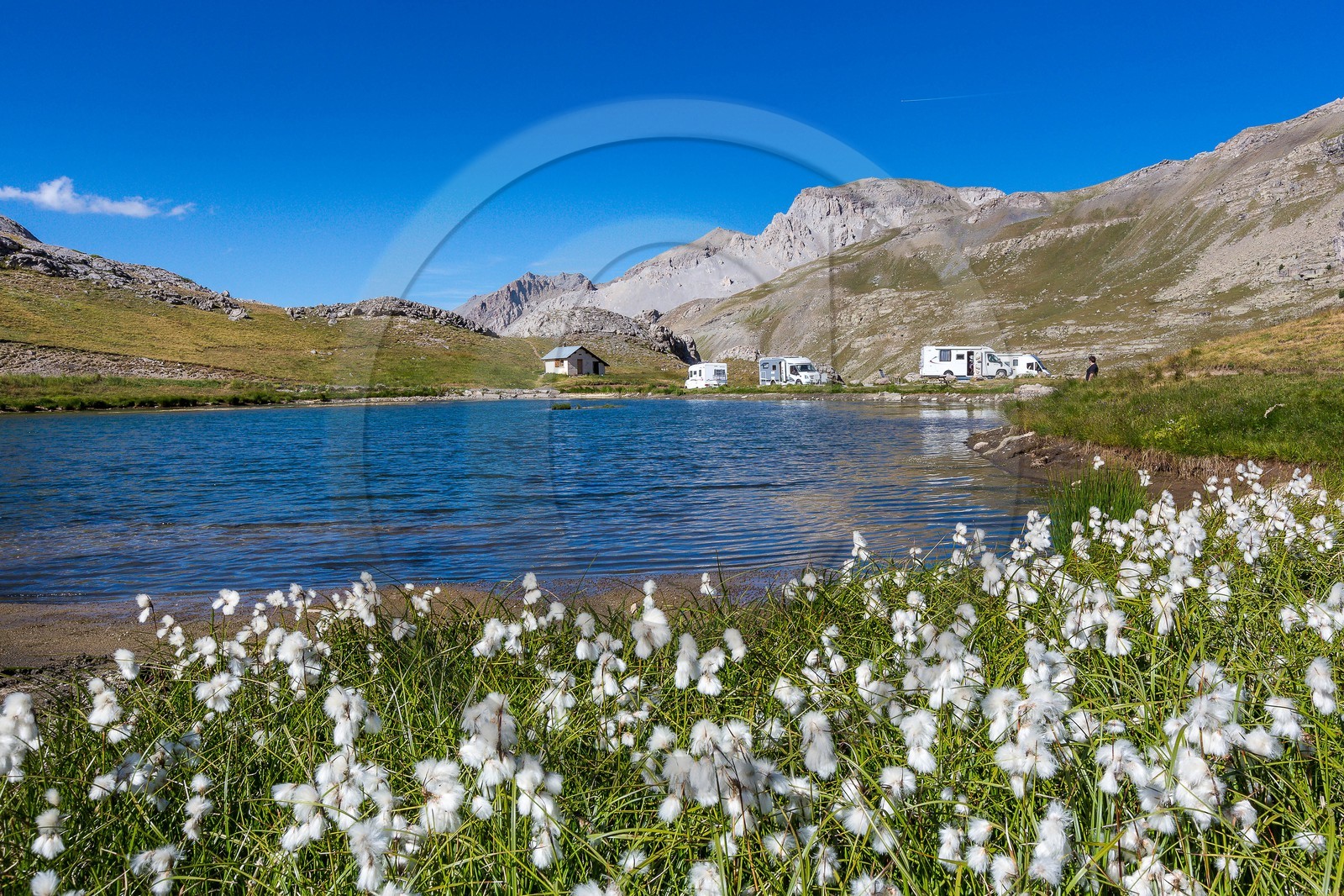 Jausiers, Col de la Bonette , Lac des Essaupres