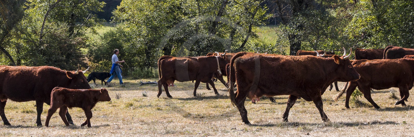 Valderoure, Stéphane et Valérie Maillard