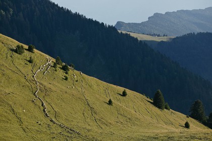 Espace naturel sensible de l'Isère, Col du Coq, alpage de Pravouta