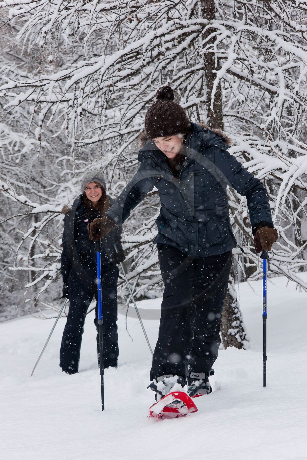 Randonnée, balade en raquettes à neige