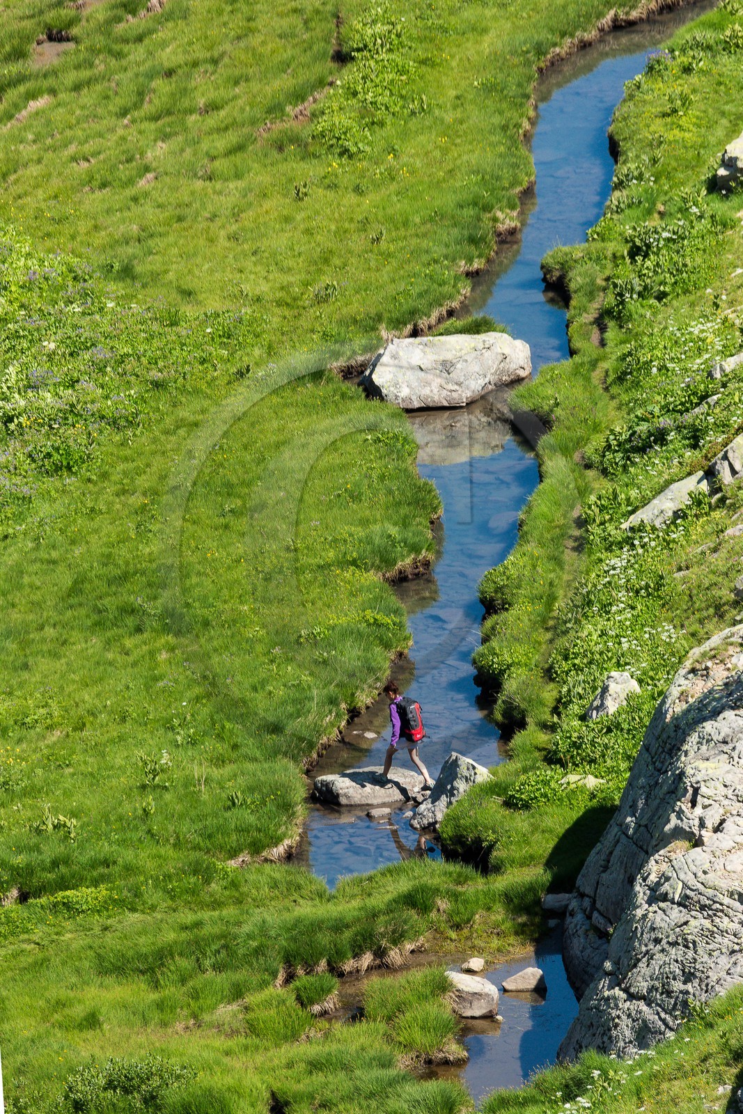 Vallon du Laverq, lac et tourbière Les Eaux-Tortes