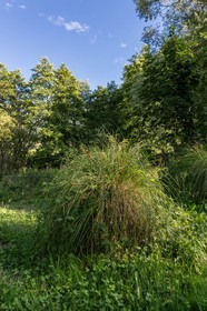 ENS de l'Isère, Tourbières de l'Herretang