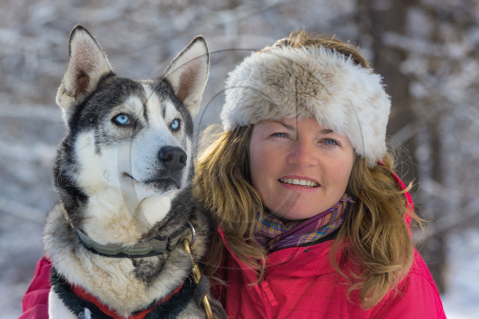 La Condamine-Châtelard, Sainte-Anne la Condamine, Coralie Bonnerot et ses chiens de traineau