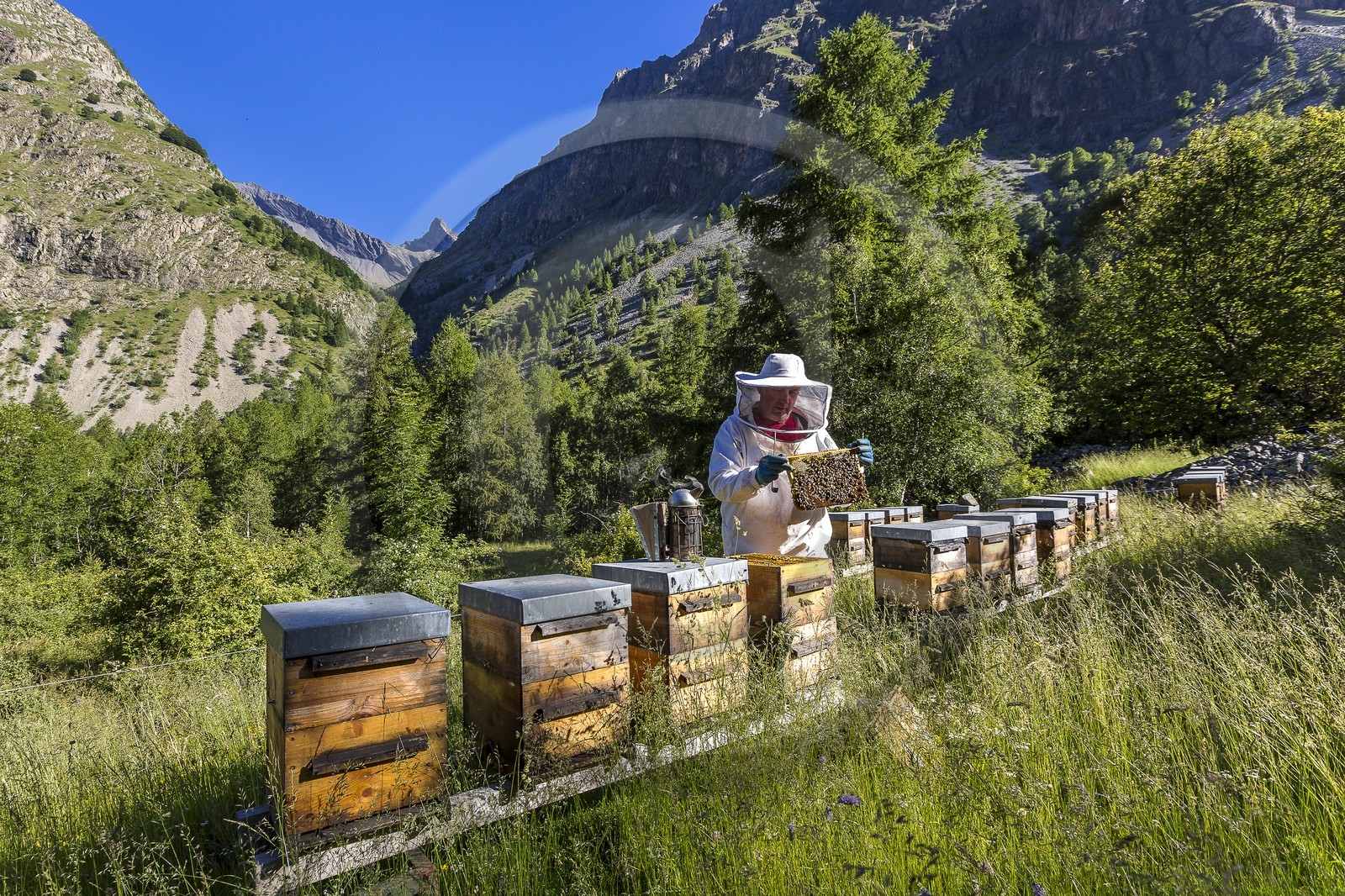 Patrick Challet apiculteur