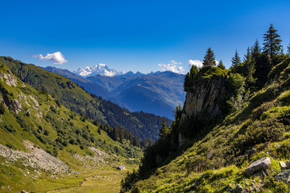 Combe du Haut-Gentil
