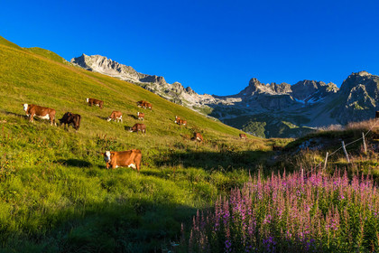 Col de la Madeleine