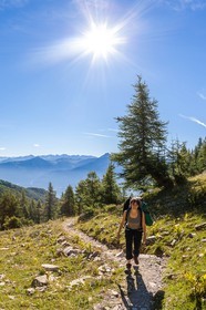 Randonnée pédestre du Mont Guillaume,