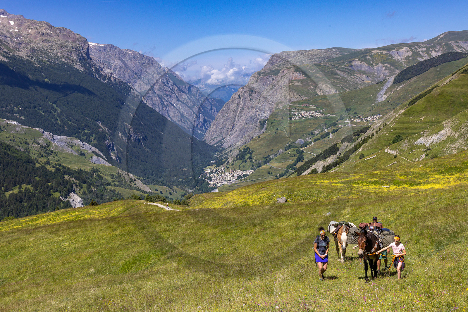 Trek famille avec animaux de bats